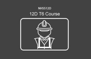 NHSS 12D T6 RLTMO (Regsitered Lead Traffic Management Operative)